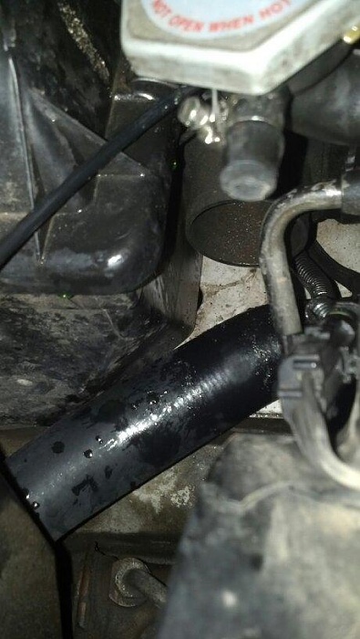 Capped off radiator hose?-resizedimage951387833128302.jpg
