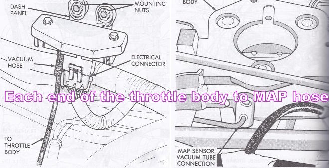 Renix vacuum diagrams for the engine bay-tb-map-tube.jpg