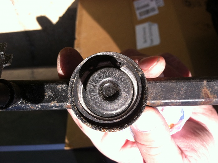 What is this?-img_0095.jpg