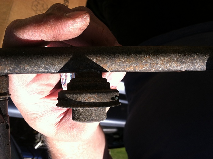 What is this?-img_0096.jpg