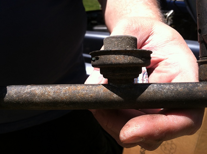 What is this?-img_0096.jpg