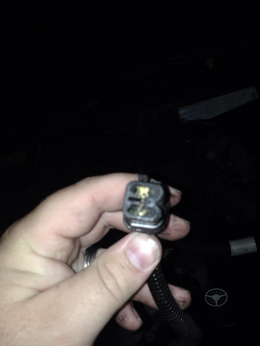 Name this plug-image-130740547.jpg