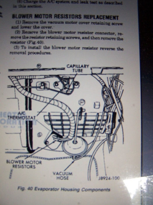 skipp42-100_9724.jpg
