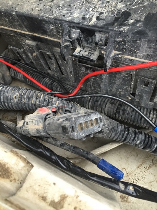 What is this?-image-1639458827.jpg