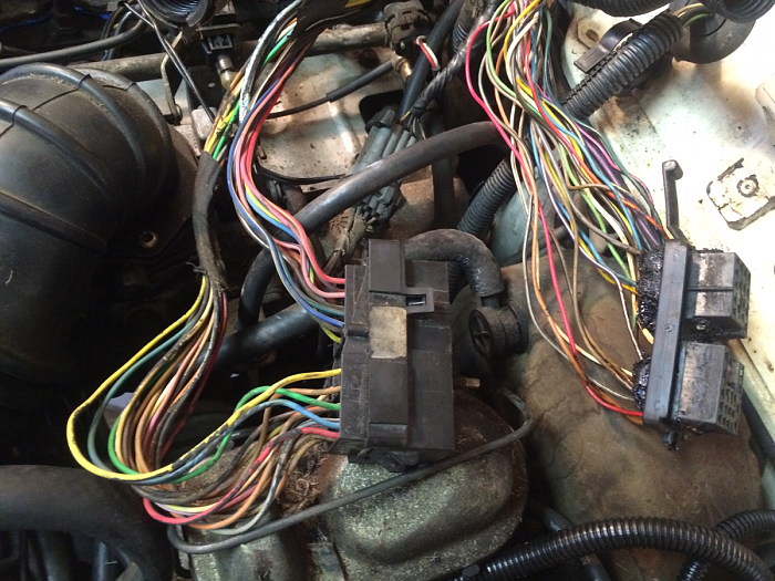 Fried C101 connector!!-image-733530908.png
