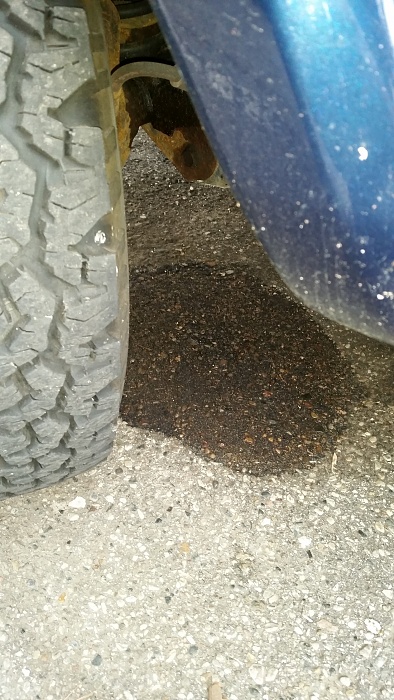 Odd fluid leak - couple things?-driver-side-pool.jpg