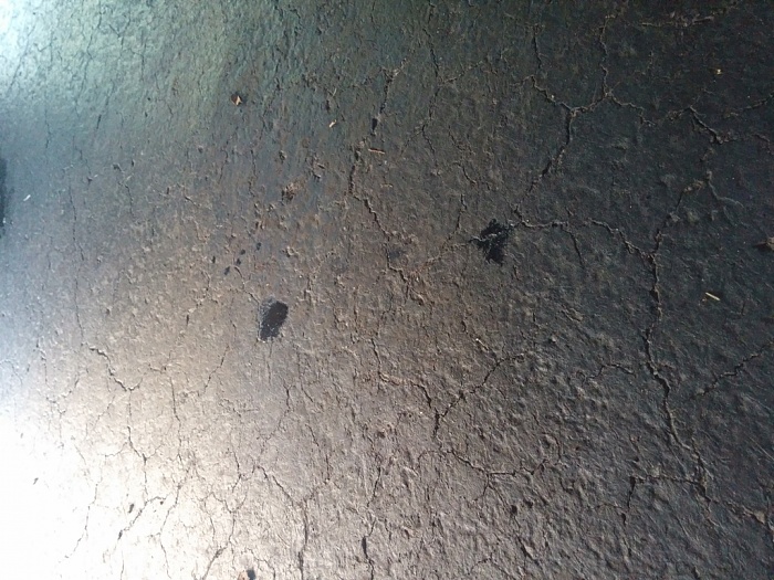 Help Identifying Small Oil Leak-oil.jpg