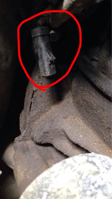 Anyone know what this is?-image-732577321.jpg
