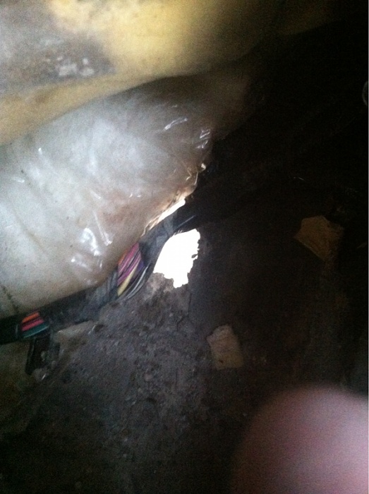 Fuse #9-image-2794674099.jpg