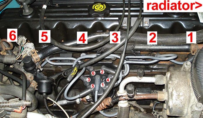 Spark plug wiring configuration....-new_wires_plugs.jpg