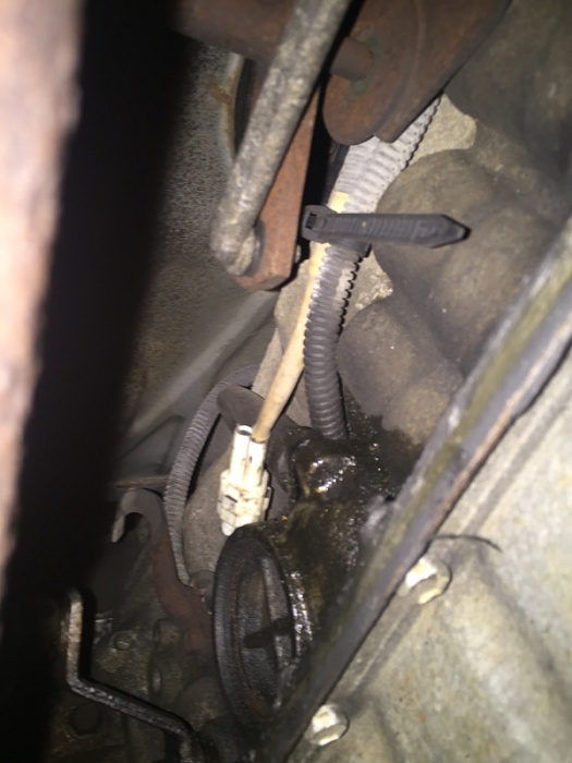 Transmission leak-image-3266315720.jpg
