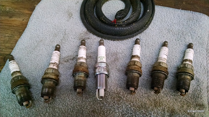 1991 spark plug change over.-zfr5n-comparison-1.jpg