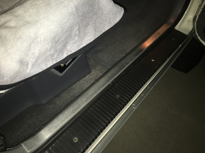 OEM plastic door sill covers - front and rear-image.jpeg