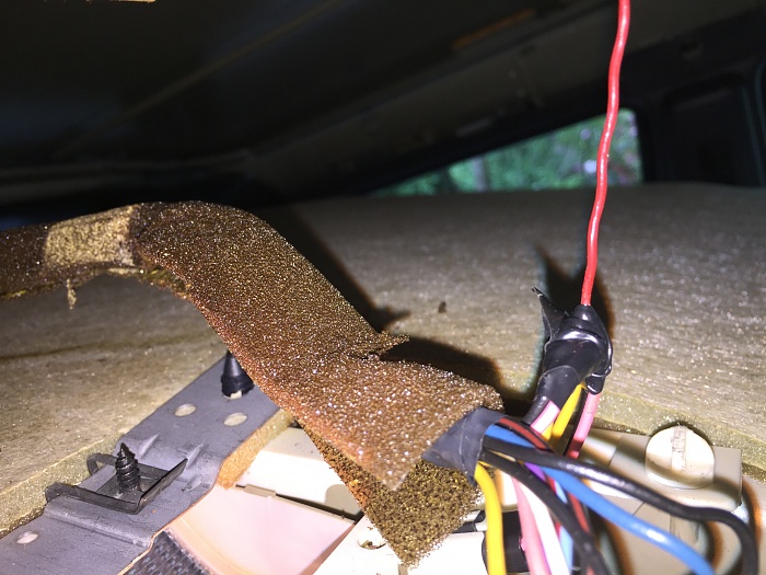 identify strange things stuck on inner roof-img_3410.jpg