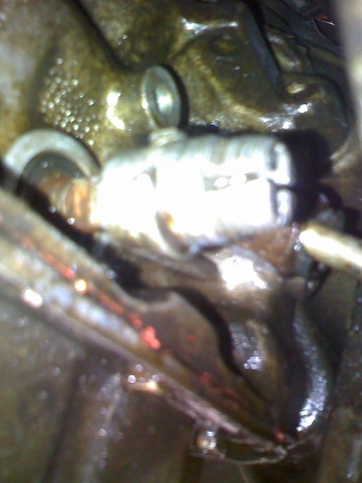 Did I break something? NSS removal.-73897_10150105022906679_699516678_7479738_5100544_n.jpg