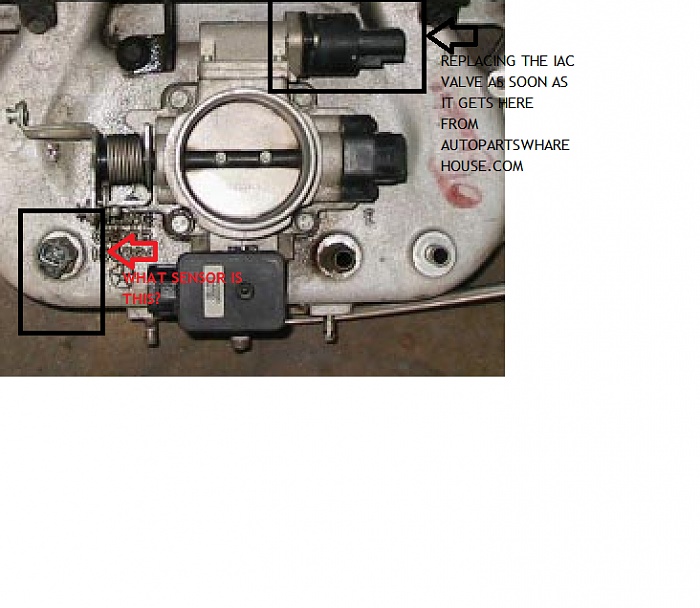 whats the sensor?-tb.jpg