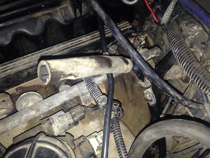 Whats this?-image-2882595287.jpg