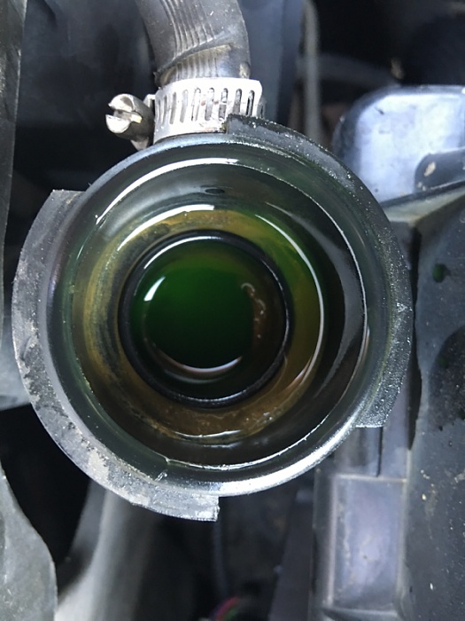 Oil in raditor 2000 cherokee-image-3121002928.jpg