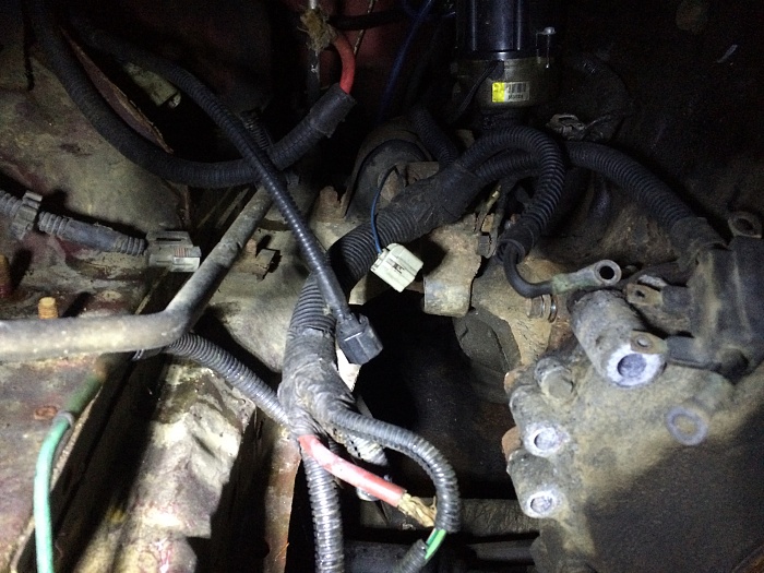 Starter wiring-image.jpeg