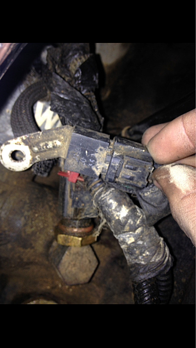 What is this? A ground?-image-747970821.jpg