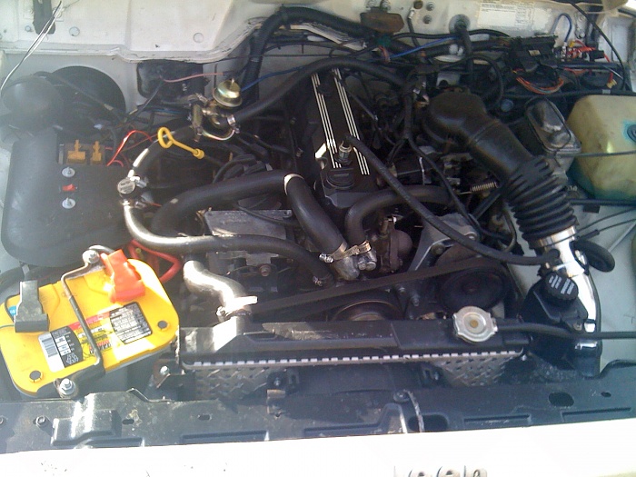 4 or 6 in this pic?-img_0518.jpg