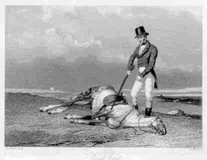 Name:  Beating-a-dead-horse.gif
Views: 853
Size:  129.1 KB