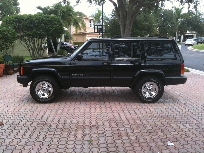 Need some help/suggestions!!!-img_0217.jpg