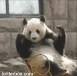 Name:  facepalm_panda.gif
Views: 1165
Size:  3.21 MB