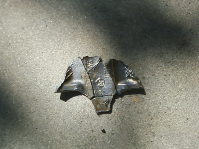Name:  PistonSkirt.jpg
Views: 5784
Size:  56.7 KB