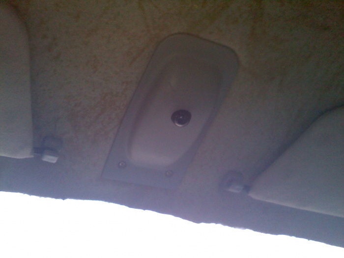 what is this little thing???-britt.jpg