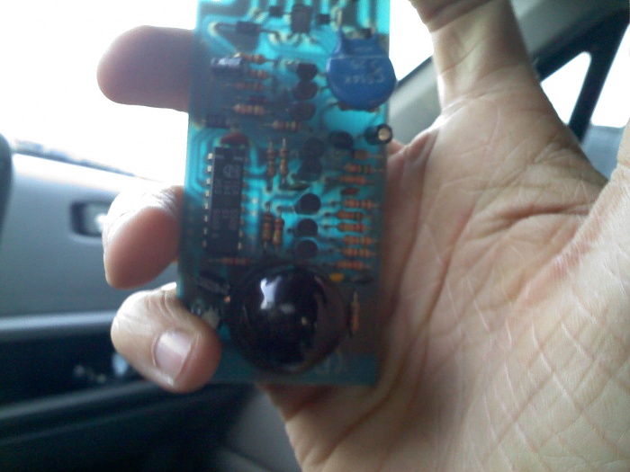 what is this little thing???-brittney-ashley.jpg
