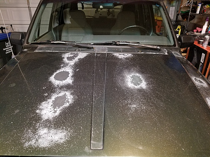 Clear Coat/Paint fail-clearcoat1.jpg