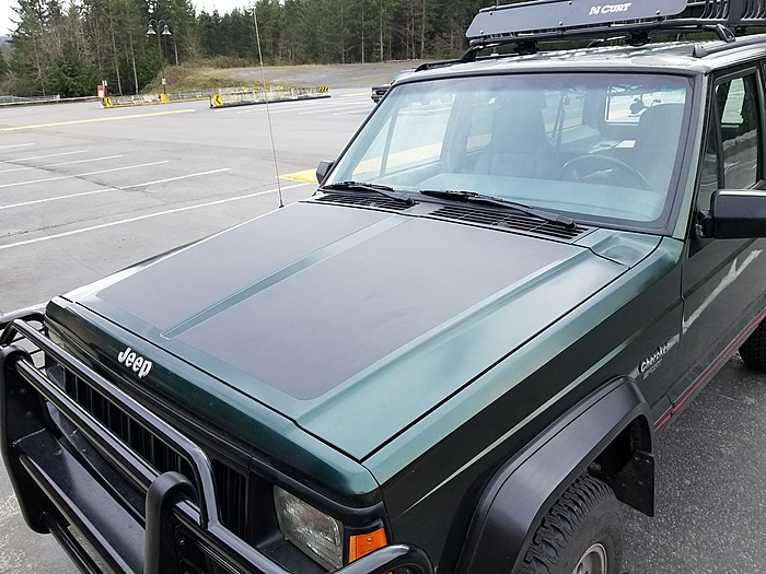Clear Coat/Paint fail--Cheap Fix-finished-2.jpg