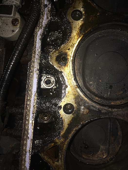 Head Removed From Engine (still in vehicle) What Should I Check On / Clean / Replace?-fhjl1wb.jpg