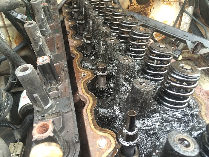 Head Removed From Engine (still in vehicle) What Should I Check On / Clean / Replace?-ugataao.jpg