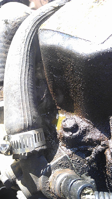 Overheating/Leaking Issue-cjtph.jpg