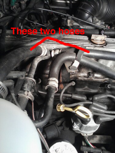 Heater valve hoses?-hoses.jpg
