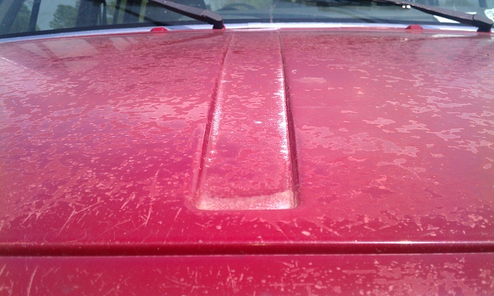 91 xj paint issues...how should I go at it???-imag0398.jpg
