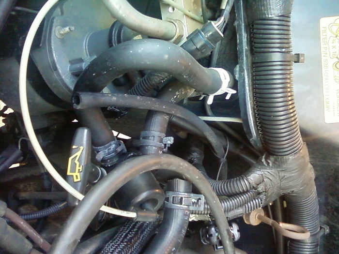 line?-photo382.jpg