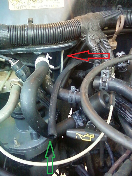 line?-photo382.jpg