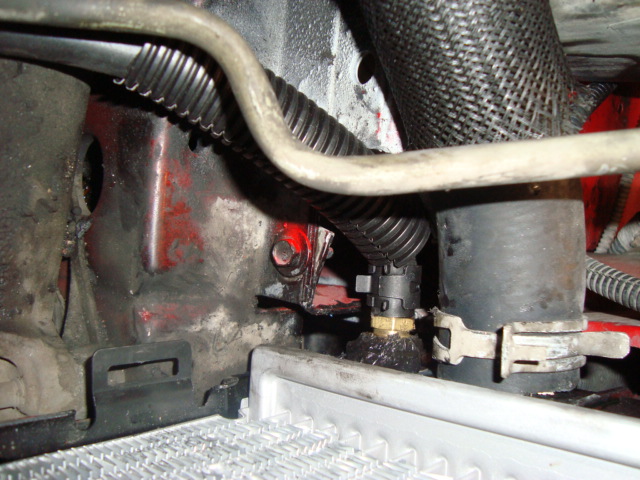 Oil cooler hose removal (again???)-dsc02918.jpg