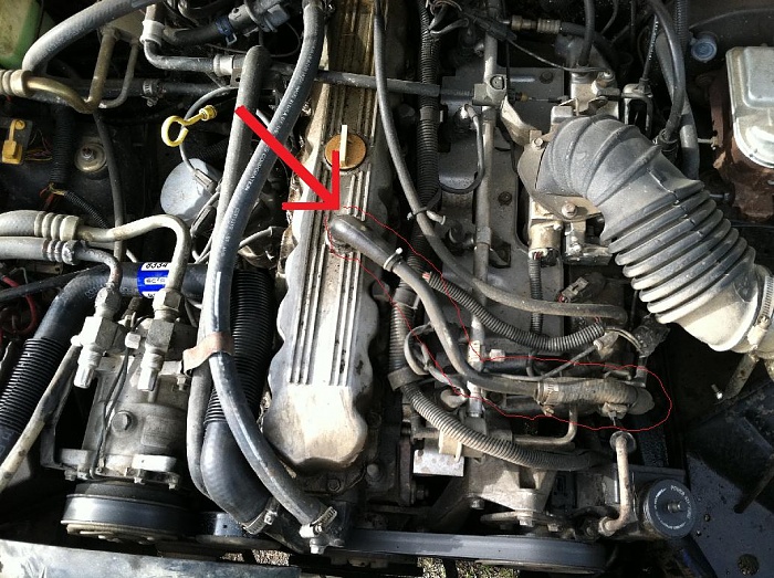this can't be good...-photo-7-.jpg