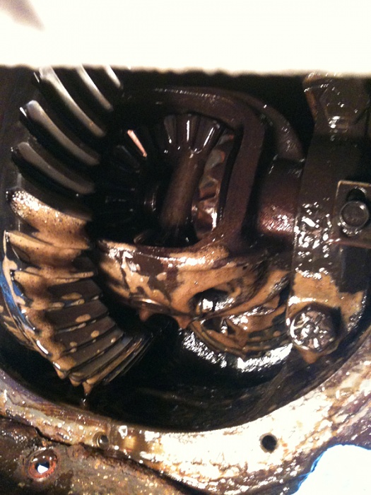 rear differential issues-image-4219833399.jpg