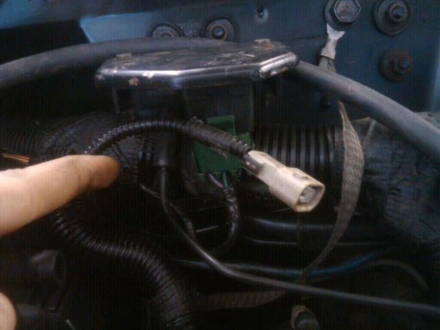wire-forumrunner_20111024_152313.jpg
