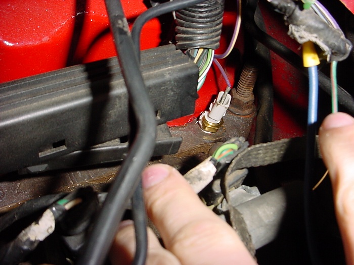 wire-dsc05173.jpg