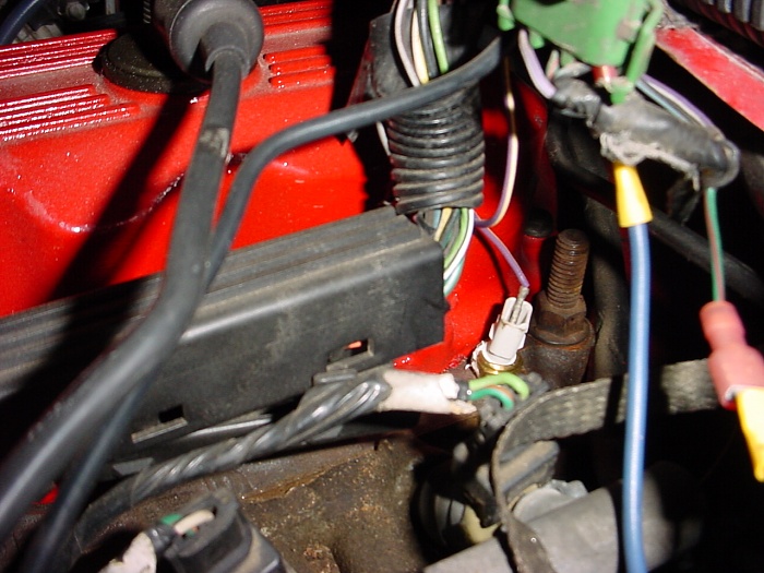 wire-dsc05172.jpg