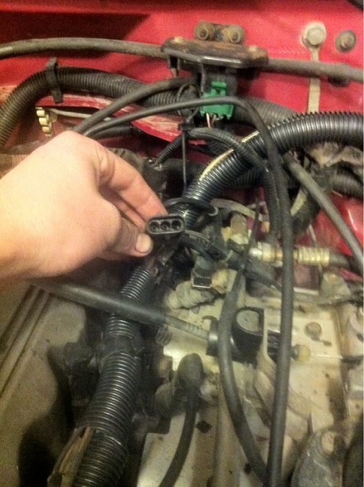 Lets play what is this and is this ok?-image-952287072.jpg