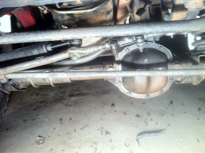 Lets play what is this and is this ok?-image-2418872972.jpg