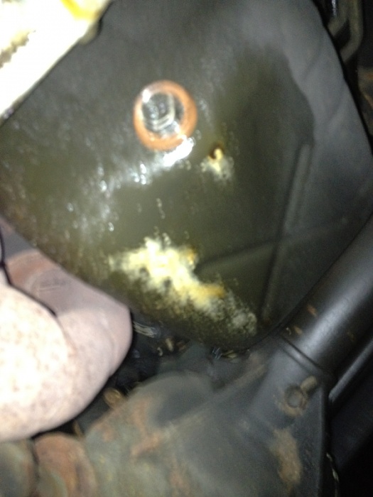 White stuff on bottom of engine block?-image-676562661.jpg