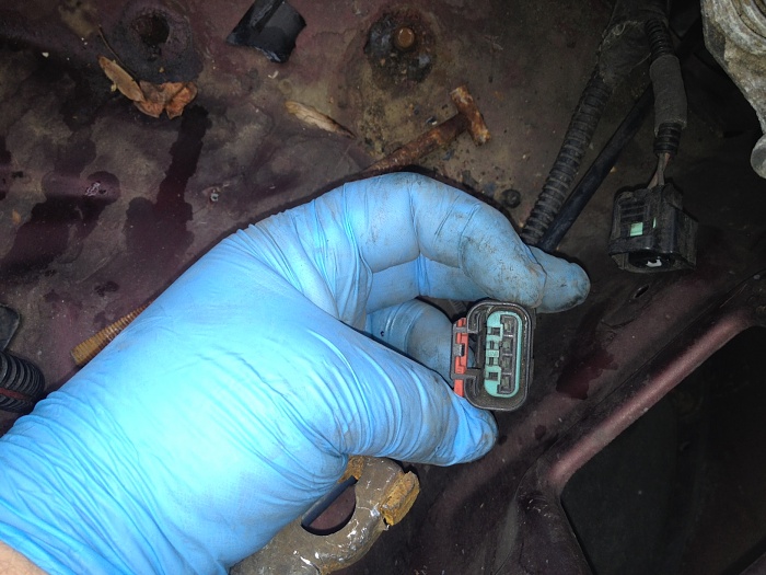 random plug question-photo-1.jpg